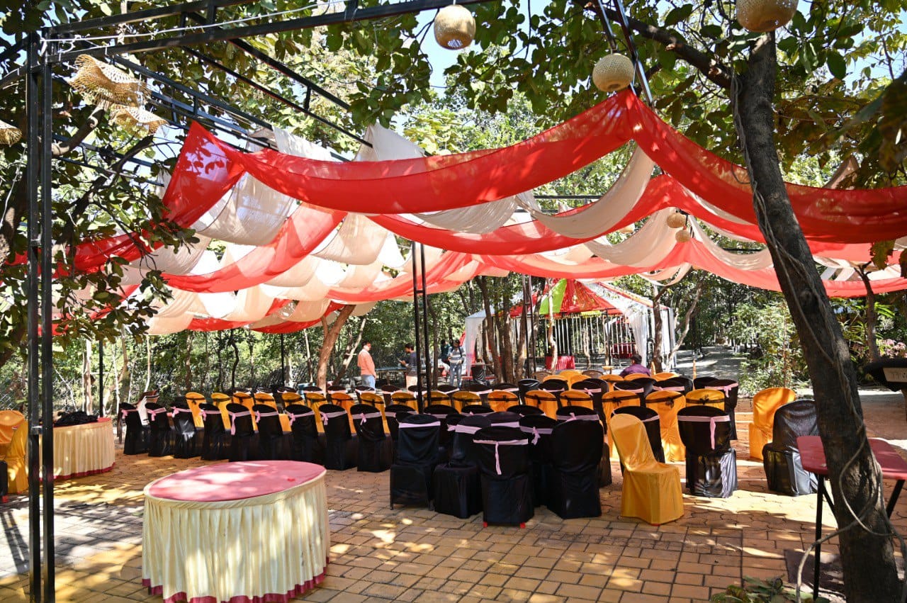 Forest Stays